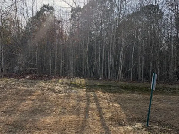 206 Hope St, Erwin, NC 28339