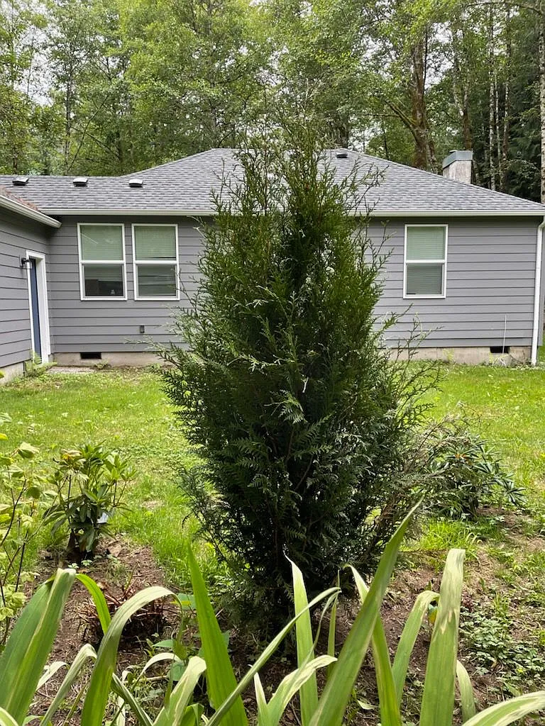 2 bed, 833 sqft, $2,300 — Photo 2