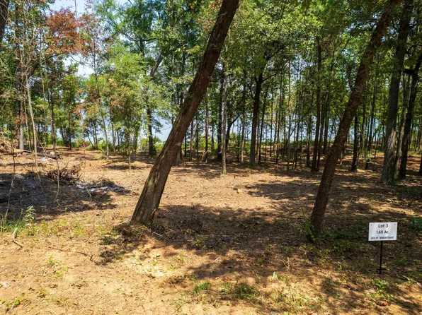 3 Big Oaks, Leesburg, TX 75451