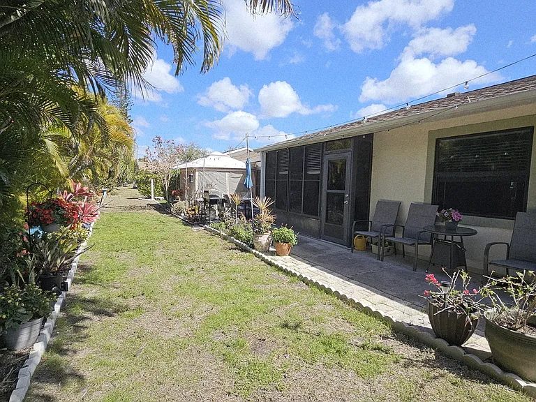 Back yard