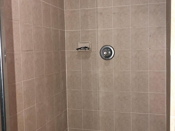 Master Bathroom Shower