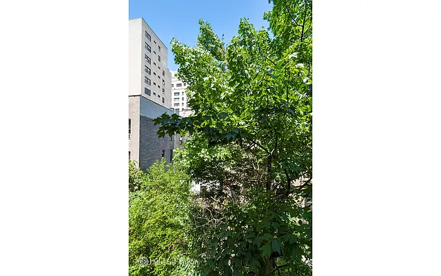 Rented by Douglas Elliman | media 8