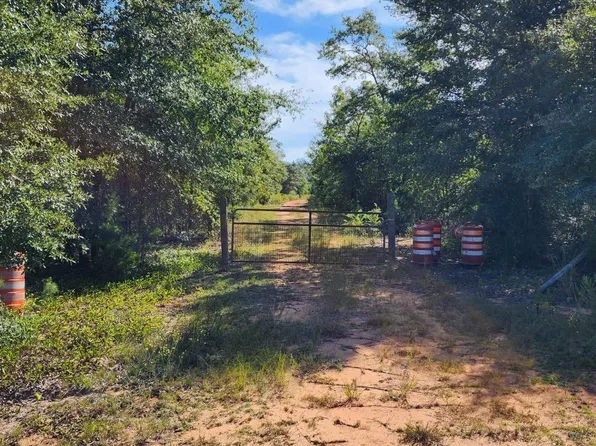 13394 NW Odell Owens Rd, Bristol, FL 32321