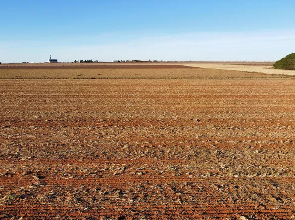 6665 Tiger Rd, Ropesville, TX 79358