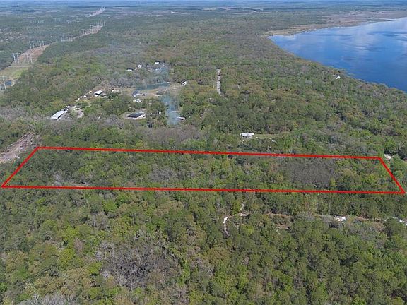 2nd image of Jungle Rd