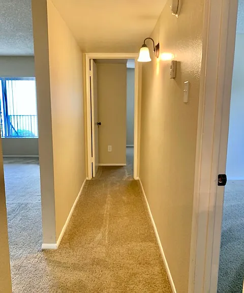 Desert Springs Apartments — Photo 45