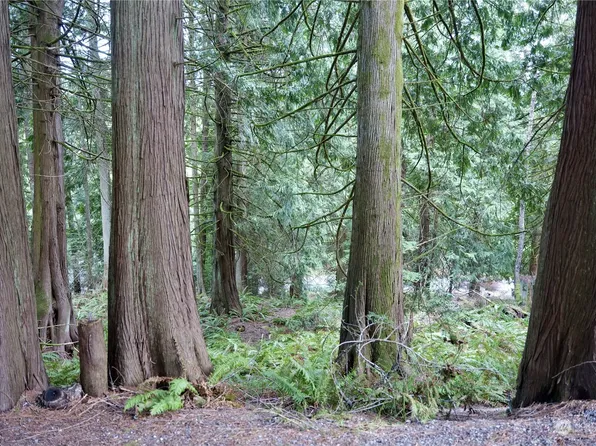 19 Valley Crest Way, Bellingham, WA 98229