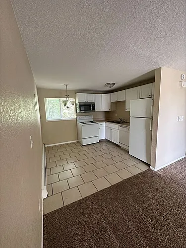 7080 Alegre Cir #1 Photo 1