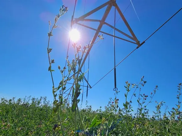 05299 County Road 12 S, Alamosa, CO 81101