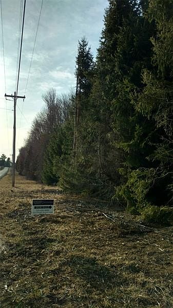 2nd image of LOT 38 38a Lisbon Road Rankin Chapel Rd