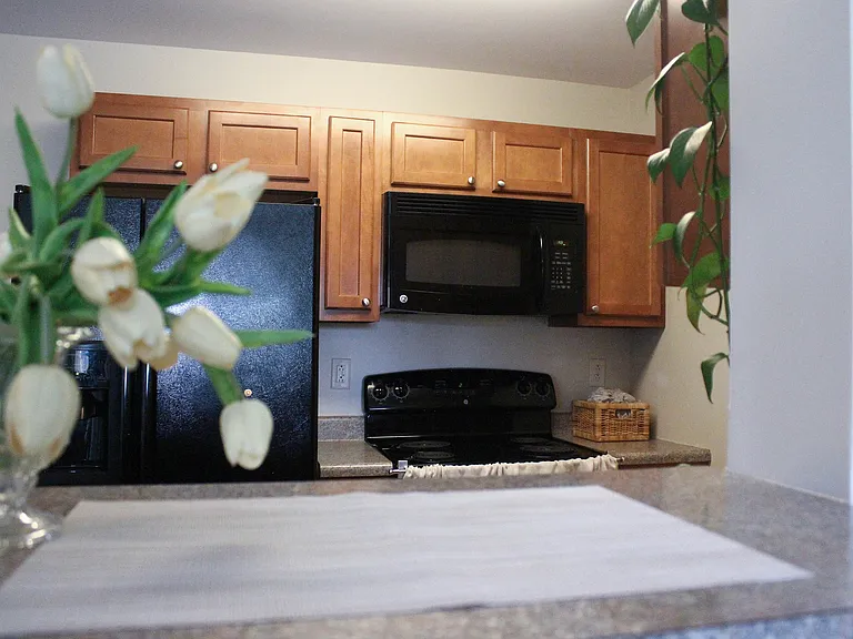 College Suites at City Station East — Photo 7