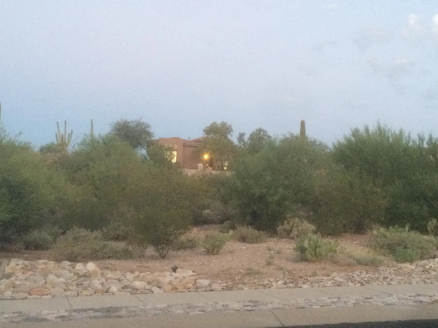 6123 N Placita Manantial La Paloma — Photo 3