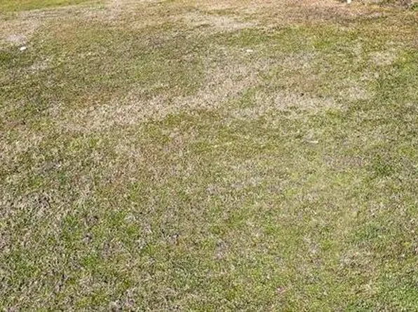 Old Benton Rd, Yazoo City, MS 39194