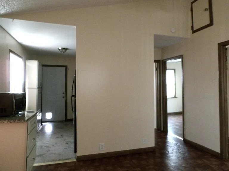 Livingroom/Kitchen/Hallway