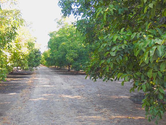 4th image of Clark Rd