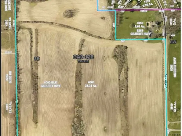 8000 Gilbert Hwy, Onsted, MI 49265