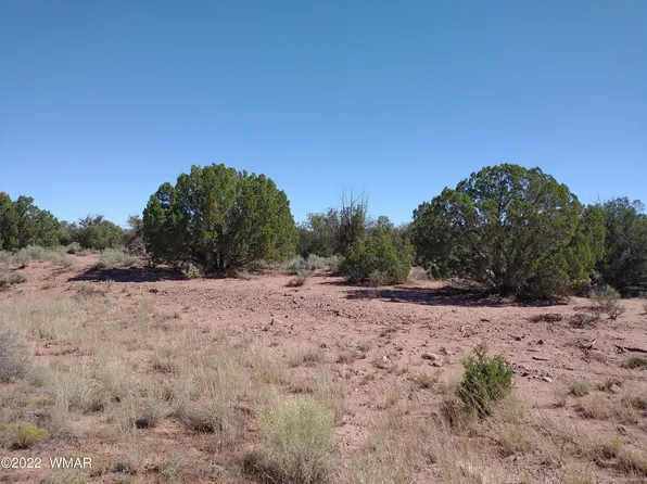 4247 Indian Bend Rd, Snowflake, AZ 85937