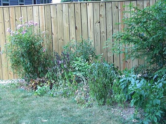 Landscaping 3