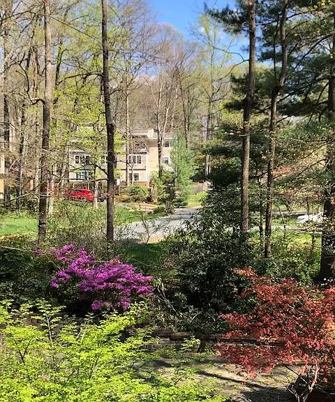 10612 Crossing Creek Rd — Photo 15
