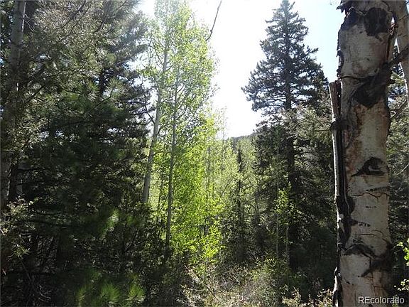 4th image of 3531 County Road 210