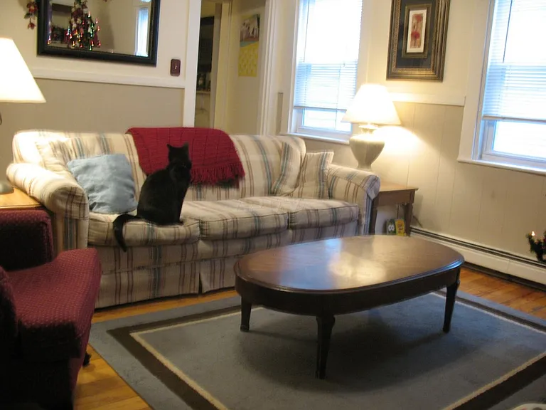 46 Cedar St #1 — Photo 5