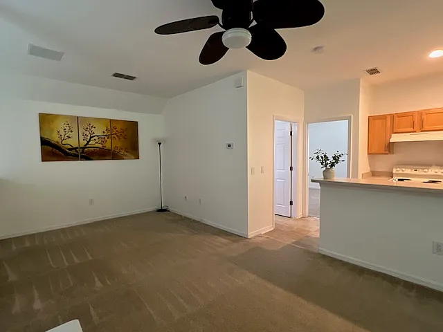 947 Spring Park Loop #B — Photo 10