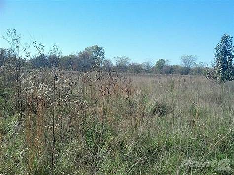 1480723_10202583324762534_1914621012_n