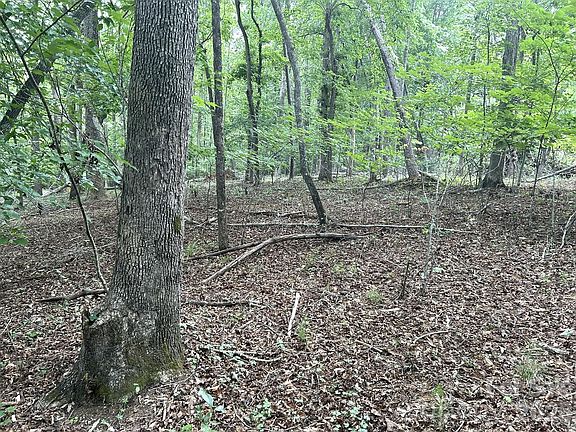 2nd image of 0 Bitteroot Cir #302