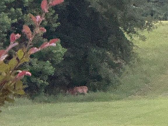 4th image of 40 Waters Ln