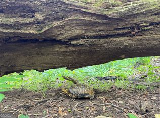 0 Lost Forest Rd, Ellijay, GA 30536