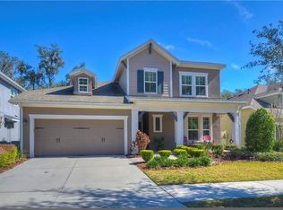 16113 Courtside View Dr, Lithia, FL 33547