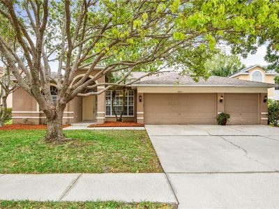 4907 Augusta Ave, Oldsmar, FL, 34677