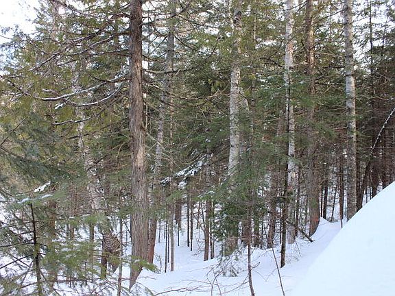 3rd image of 3057 Carrabassett Dr