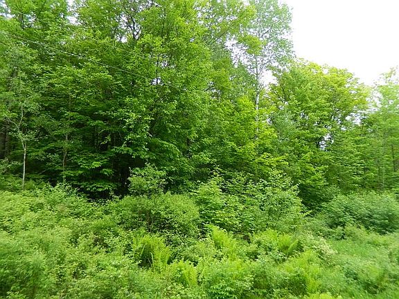 2nd image of On Price Dam Road
