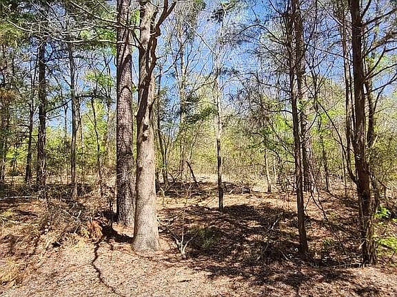 2nd image of 1380 County Road 2510