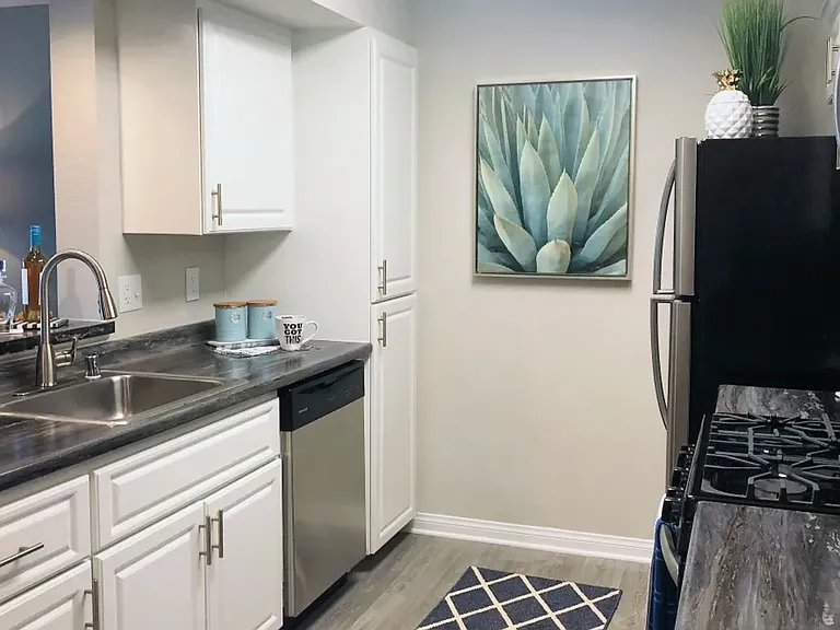 Millennium East Luxury Apartment Homes — Photo 21