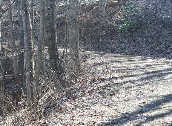 4th image of 15 Mountain Mint Dr