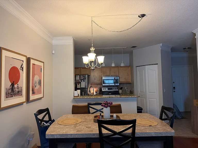 4207 S Dale Mabry Hwy #11206 — Photo 5