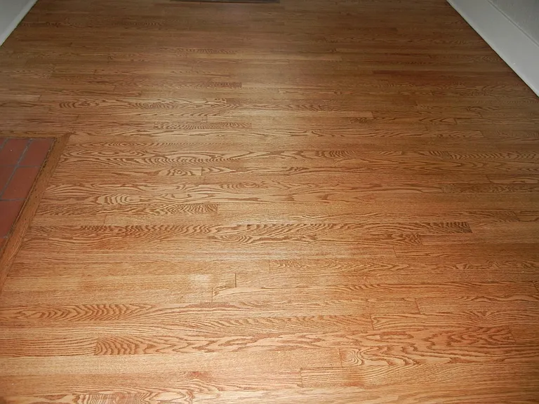 16 Olive Ct — Photo 5