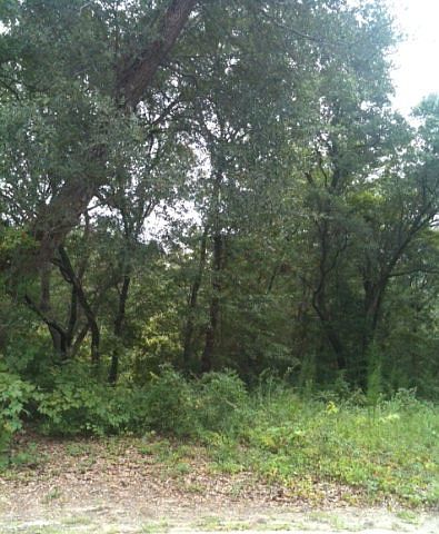 1st image of 11+ Acre Highway 210 LOT TR2