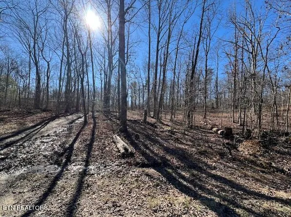 LOT 112/113 Red Oak Ln, Spring City, TN 37381