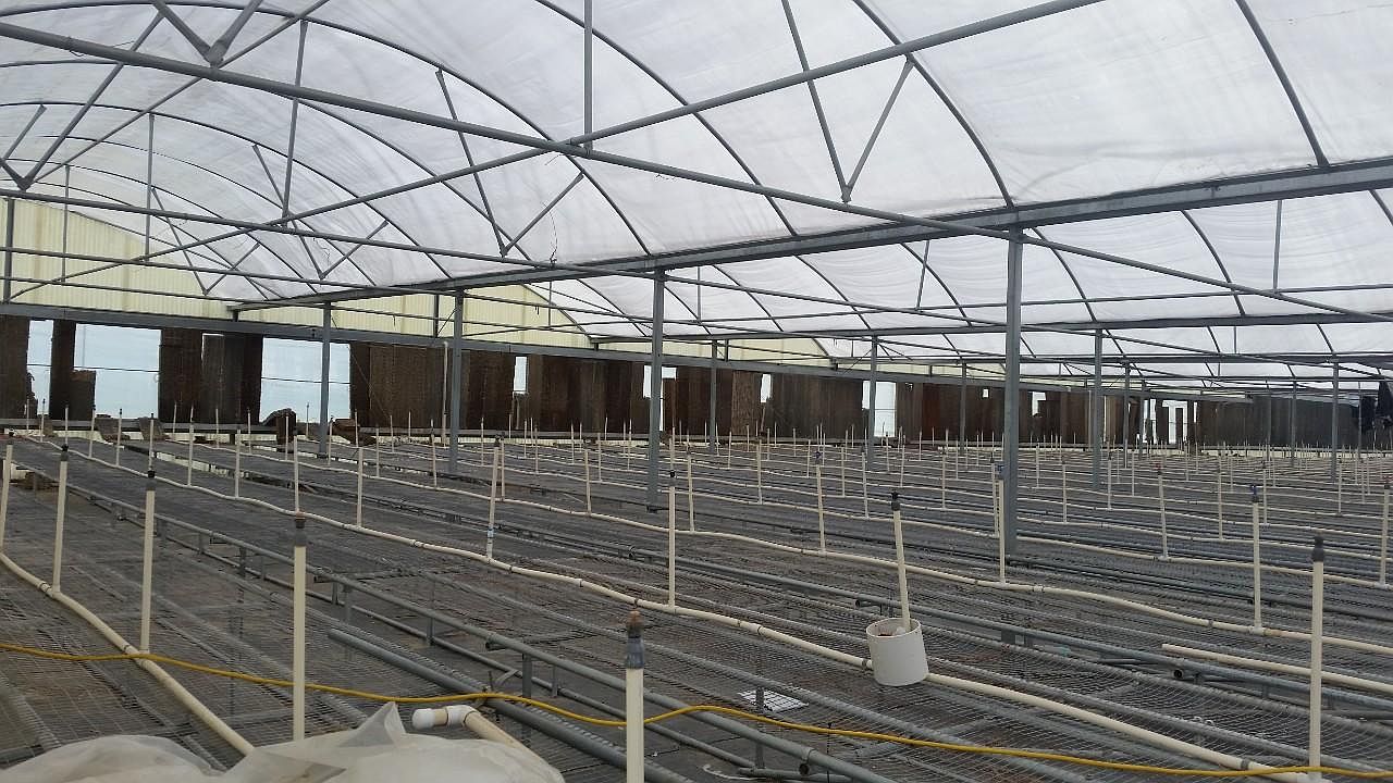 4103 Ondich Rd, Apopka, FL 32712 Zillow