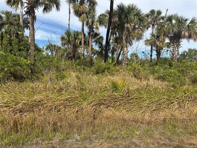 Largeleaf St, North port, FL, 34288