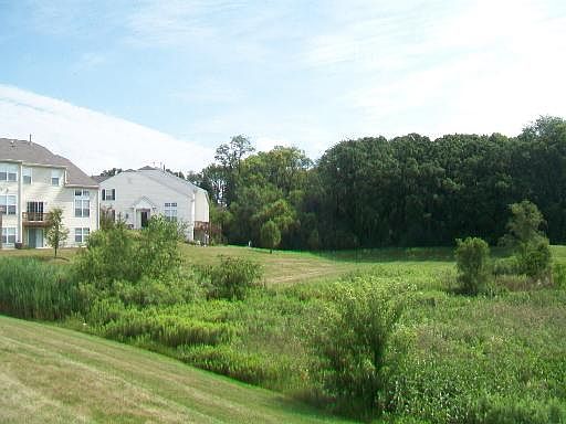 5th image of 535 Terra Springs Cir #535