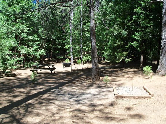 Plenty of room for Pinics 