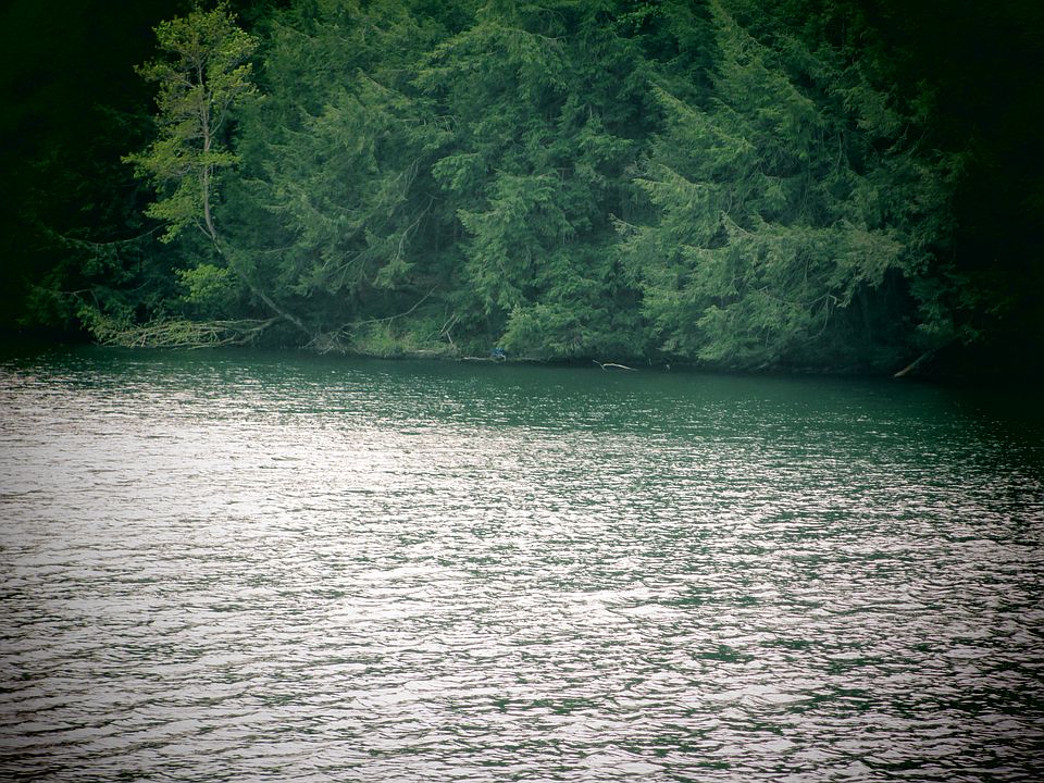 1st image of 0001 Lake Idlewild
