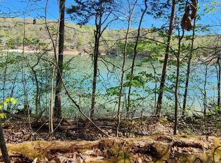 207 Waterside Ln, La Follette, TN 37766