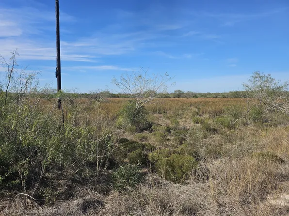 County Road 1431 Lot 12, San Diego, TX 78384