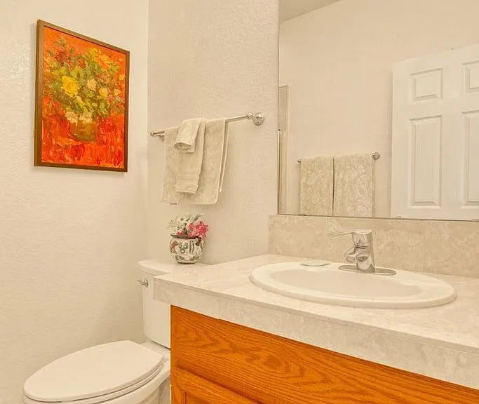 1232 E Camino Diestro — Photo 35