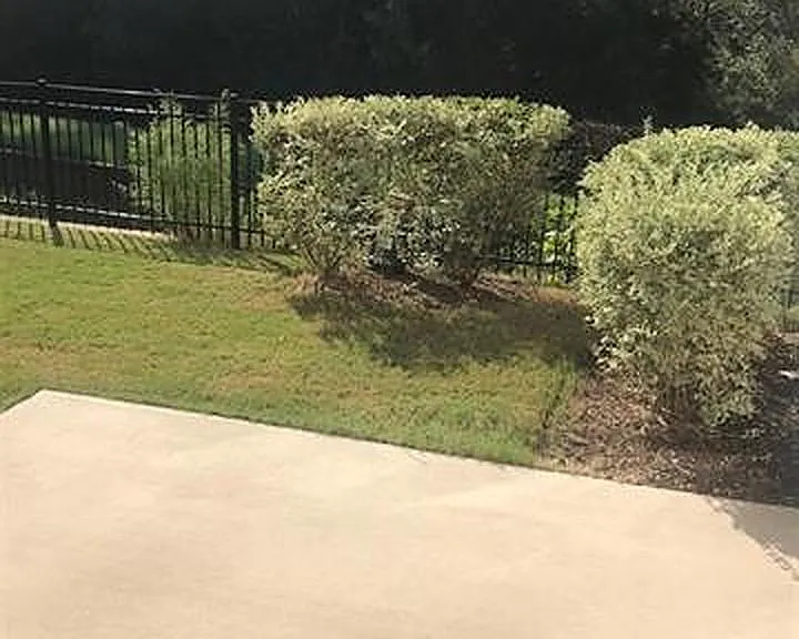 473 Panorama View Loop — Photo 18